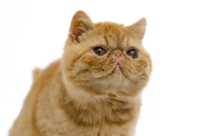 320