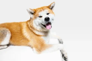 364