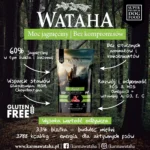 jagniecina infografika small