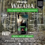 jagniecina infografika